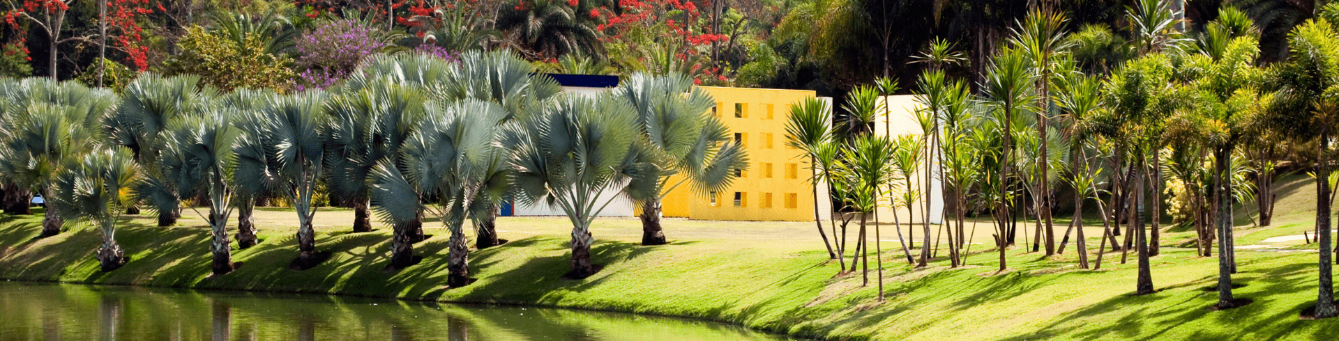 Tiradentes Gastronmico
